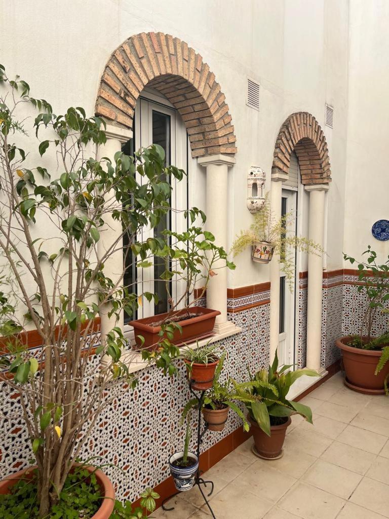 بيت شباب Alyana قرطبة المظهر الخارجي الصورة